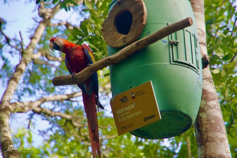 GuateBelize25 – foto 63