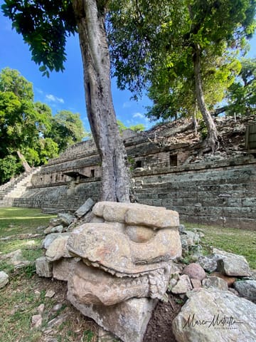 GuateBelize25 – foto 65