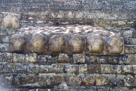 GuateBelize25 – foto 66