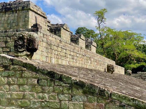 GuateBelize25 – foto 69