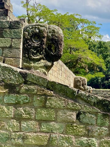 GuateBelize25 – foto 70