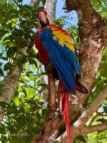 GuateBelize25 – foto 71