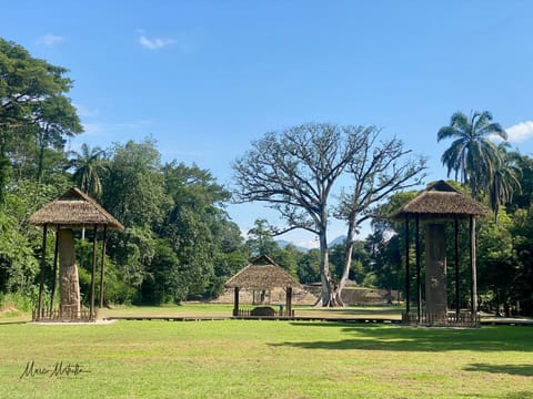 GuateBelize25 – foto 72