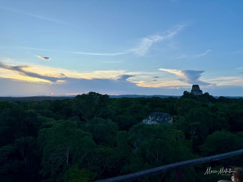GuateBelize25 – foto 93
