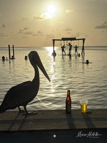 GuateBelize25 – foto 98